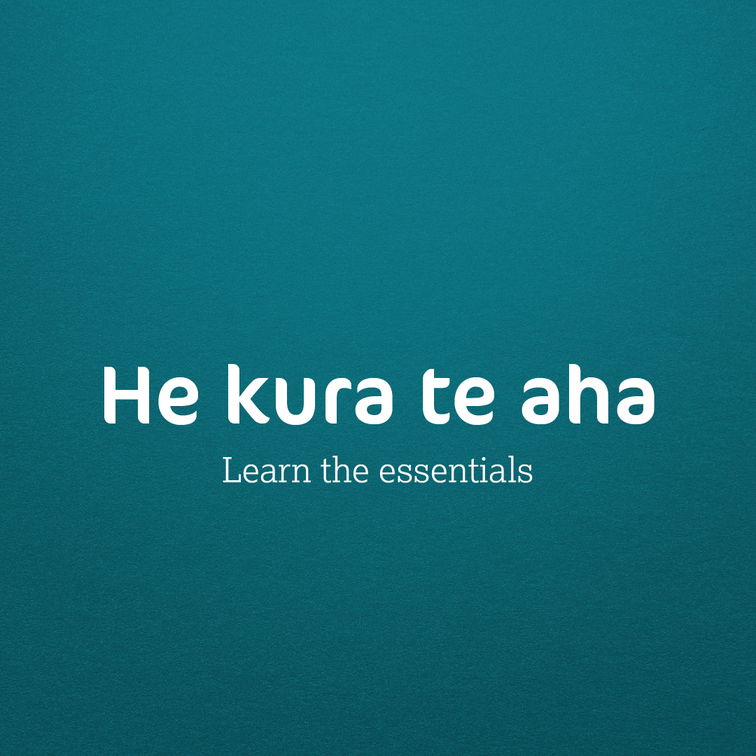 Te Wānanga o Aotearoa Facebook ad