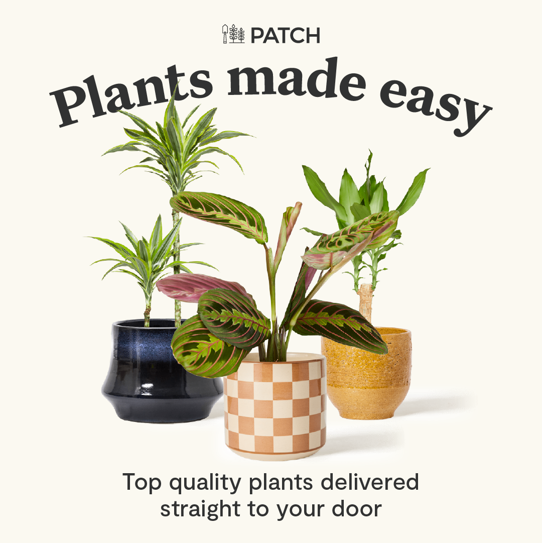 Patch plants Facebook ad