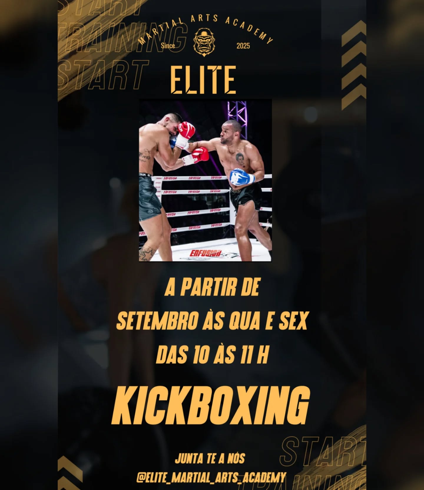 elite_martial_arts_academy Facebook ad: Kickboxing