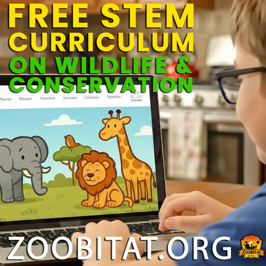Zoobitat Facebook ad