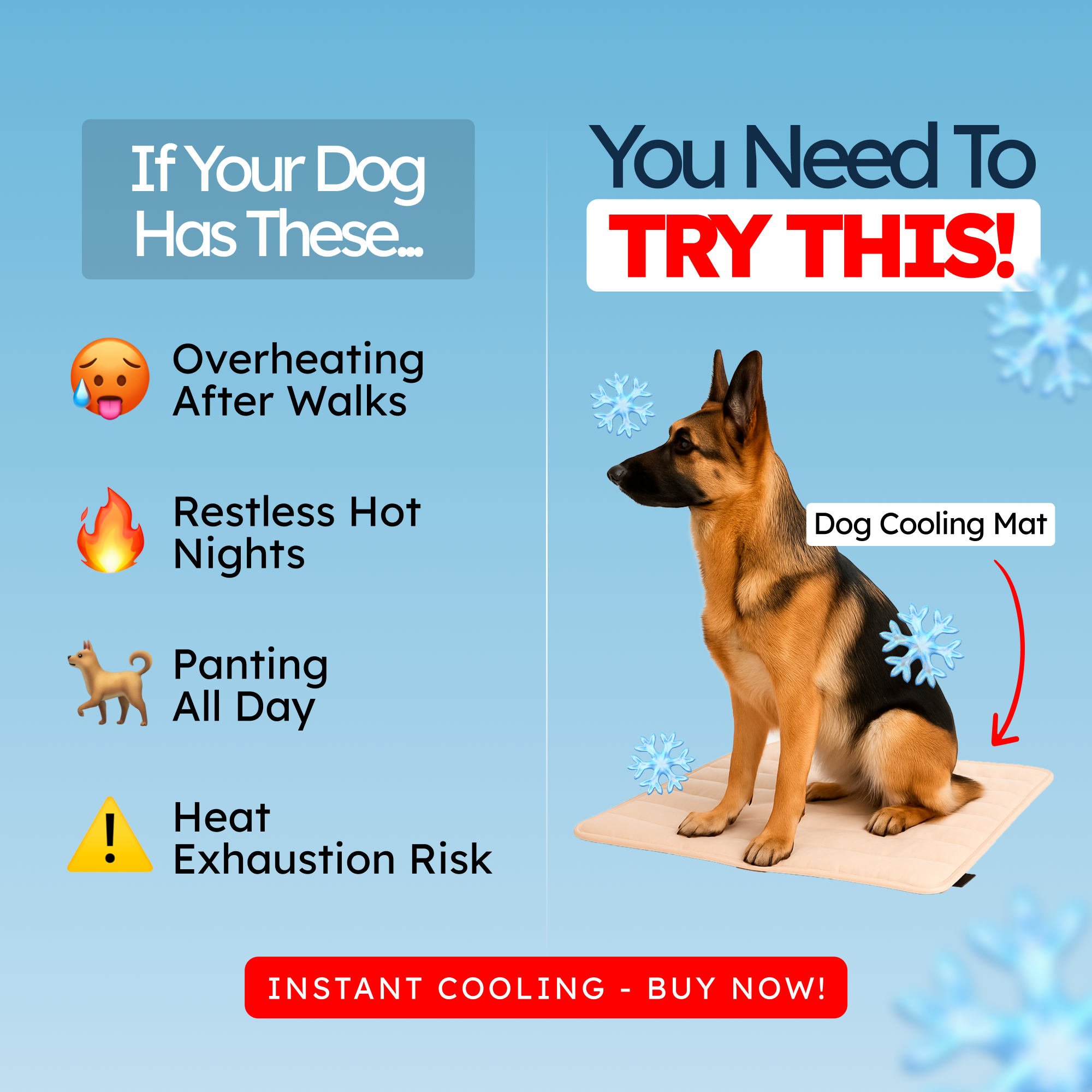 The Dog Hub Co. Facebook ad: Your Dog’s New Safe Space