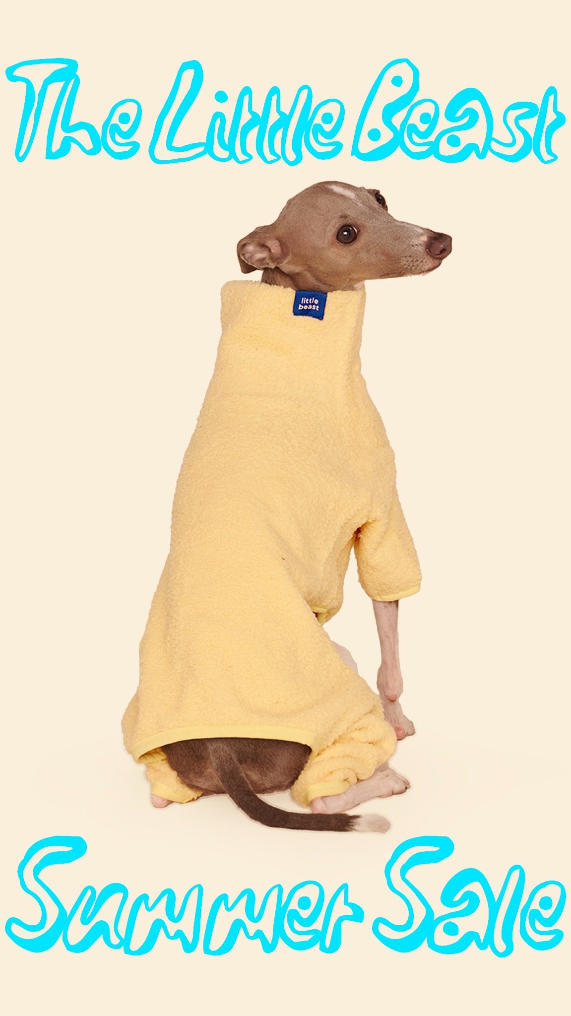 Little Beast Facebook ad