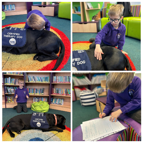 PAWS Therapy & Assistance Dog Training Facebook ad: Therapy Dogs Change Everything