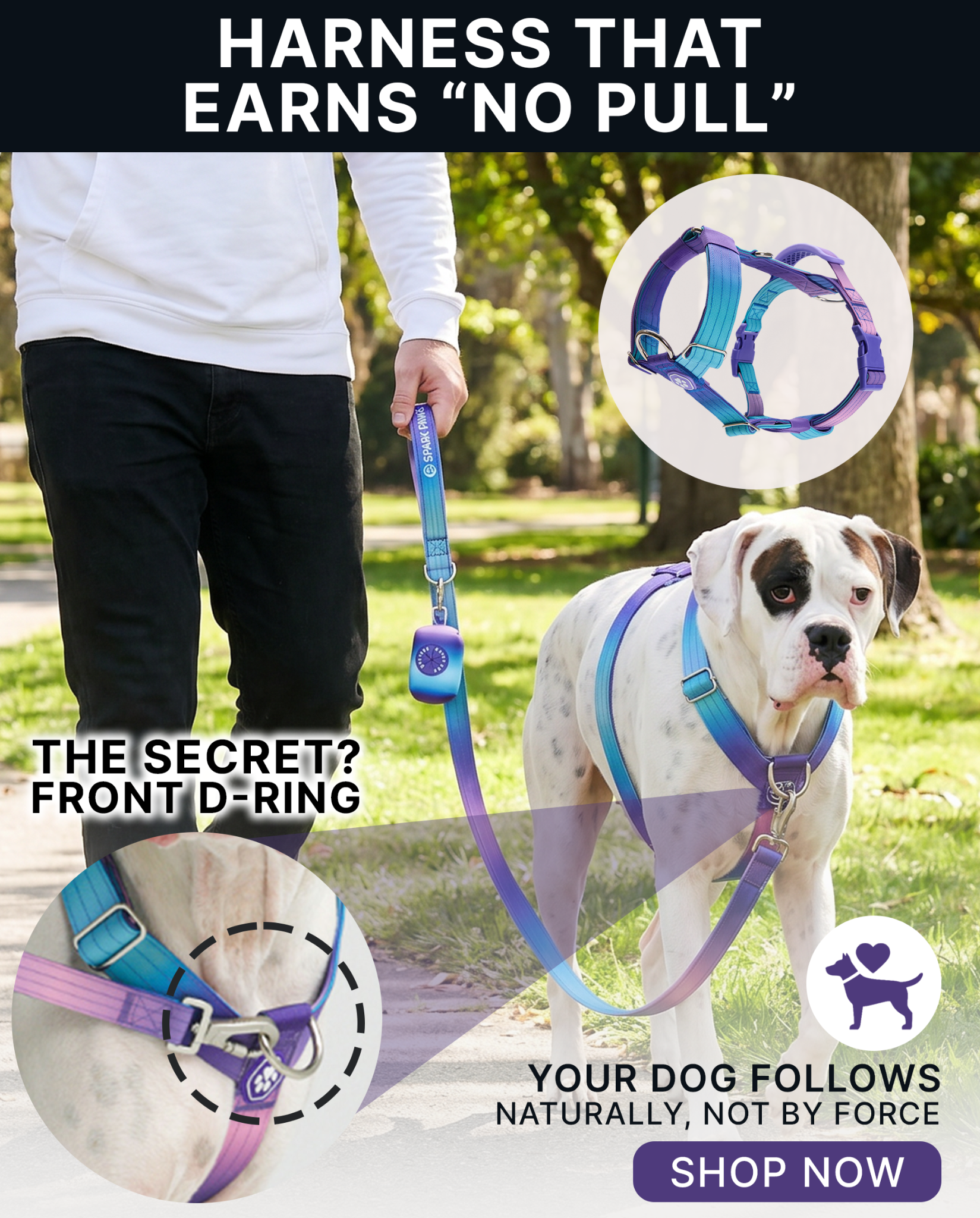 Spark Paws Facebook ad