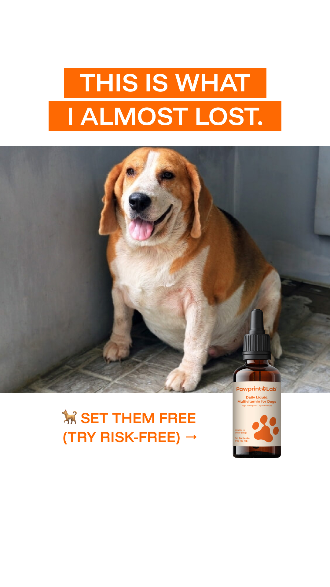 Pawprint Lab Facebook ad from Feb 6, 2026