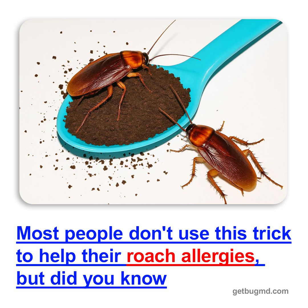 Bug-Hating Moms Facebook ad
