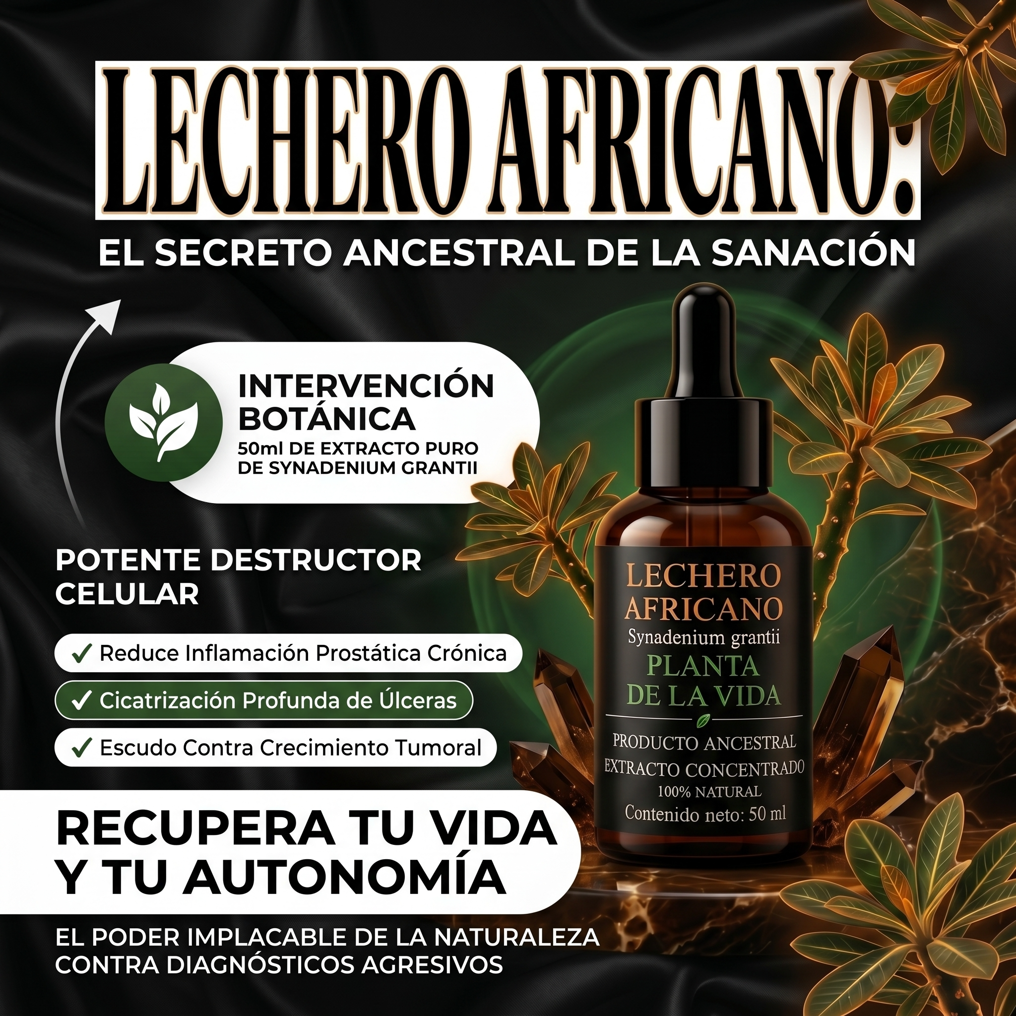 Productos Ancestrales Facebook ad