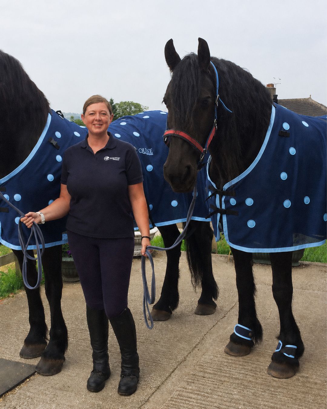 Magnetix Therapy Facebook ad: Magnetic Therapy For Horse Owners