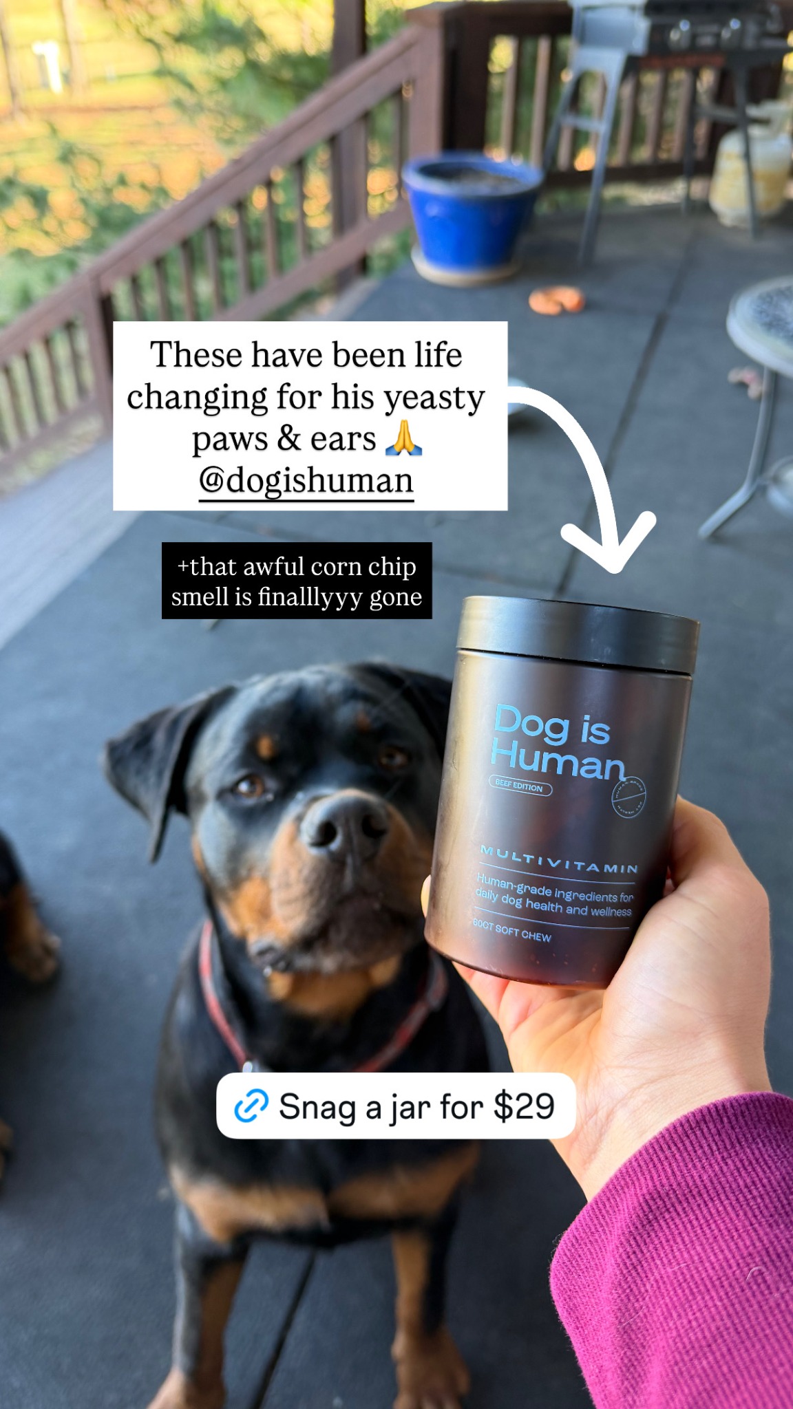 Dog is Human Facebook ad