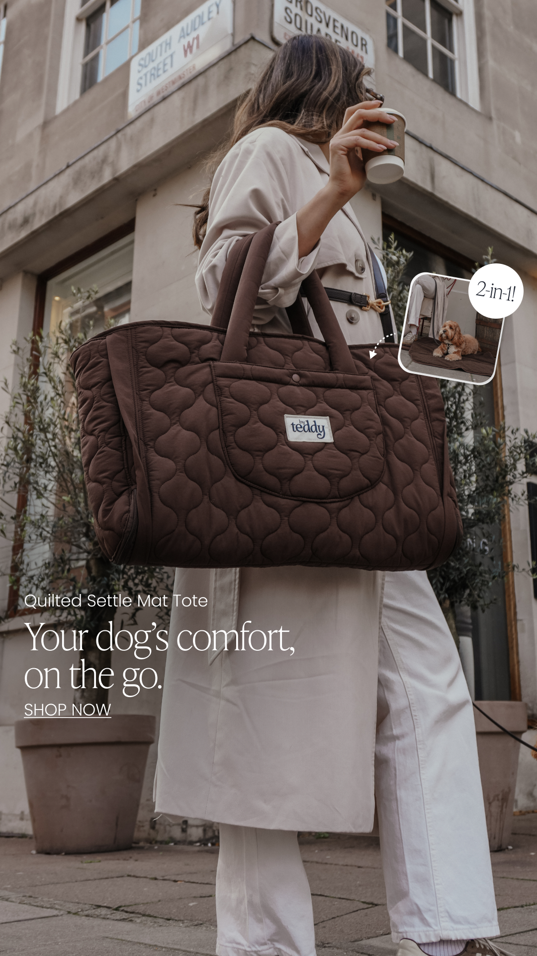 By Teddy Facebook ad