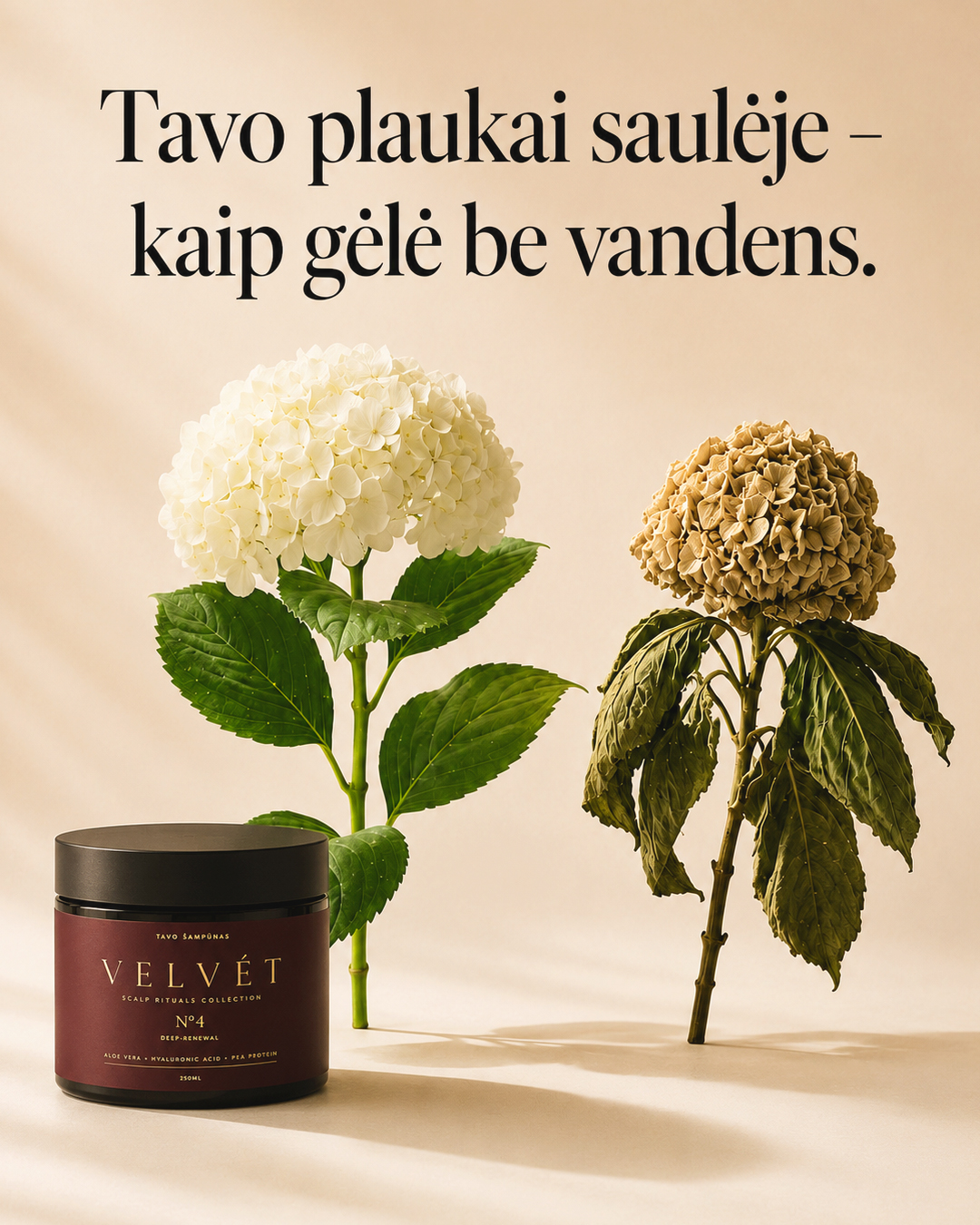 Tavo Šampūnas Facebook ad