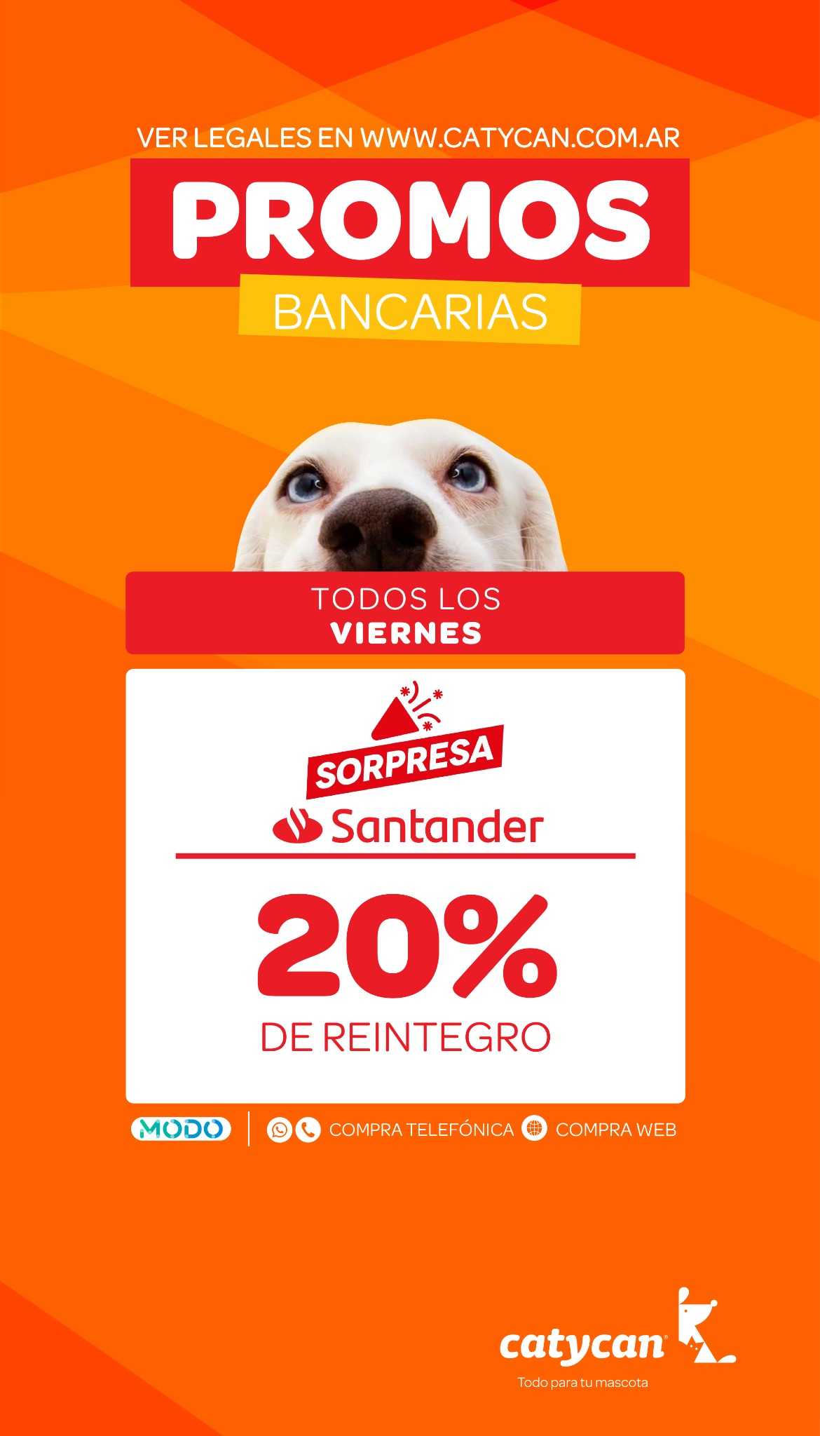catycan.com Facebook ad