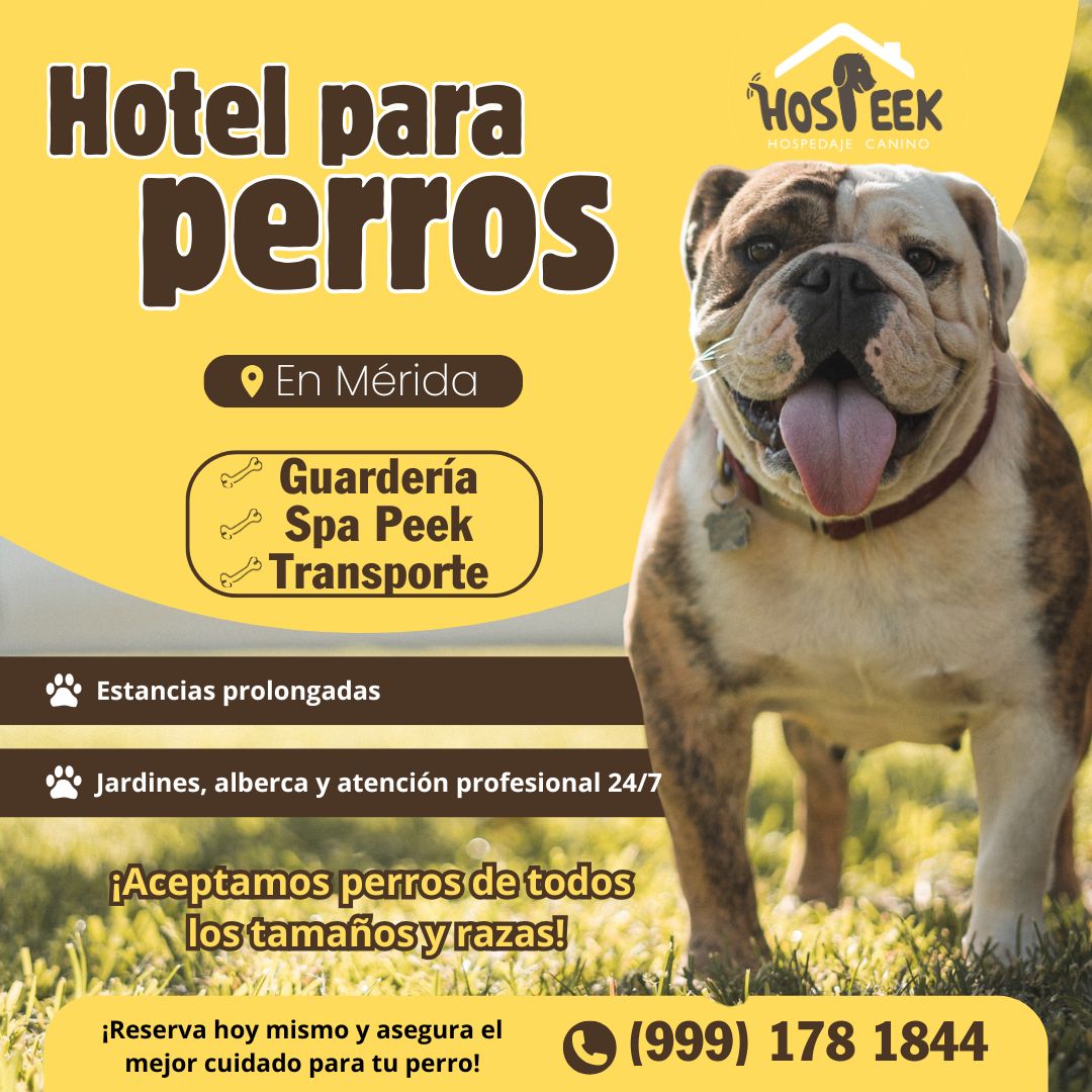 Hospeek - Hospedaje para perros Mérida y Tulum Facebook ad