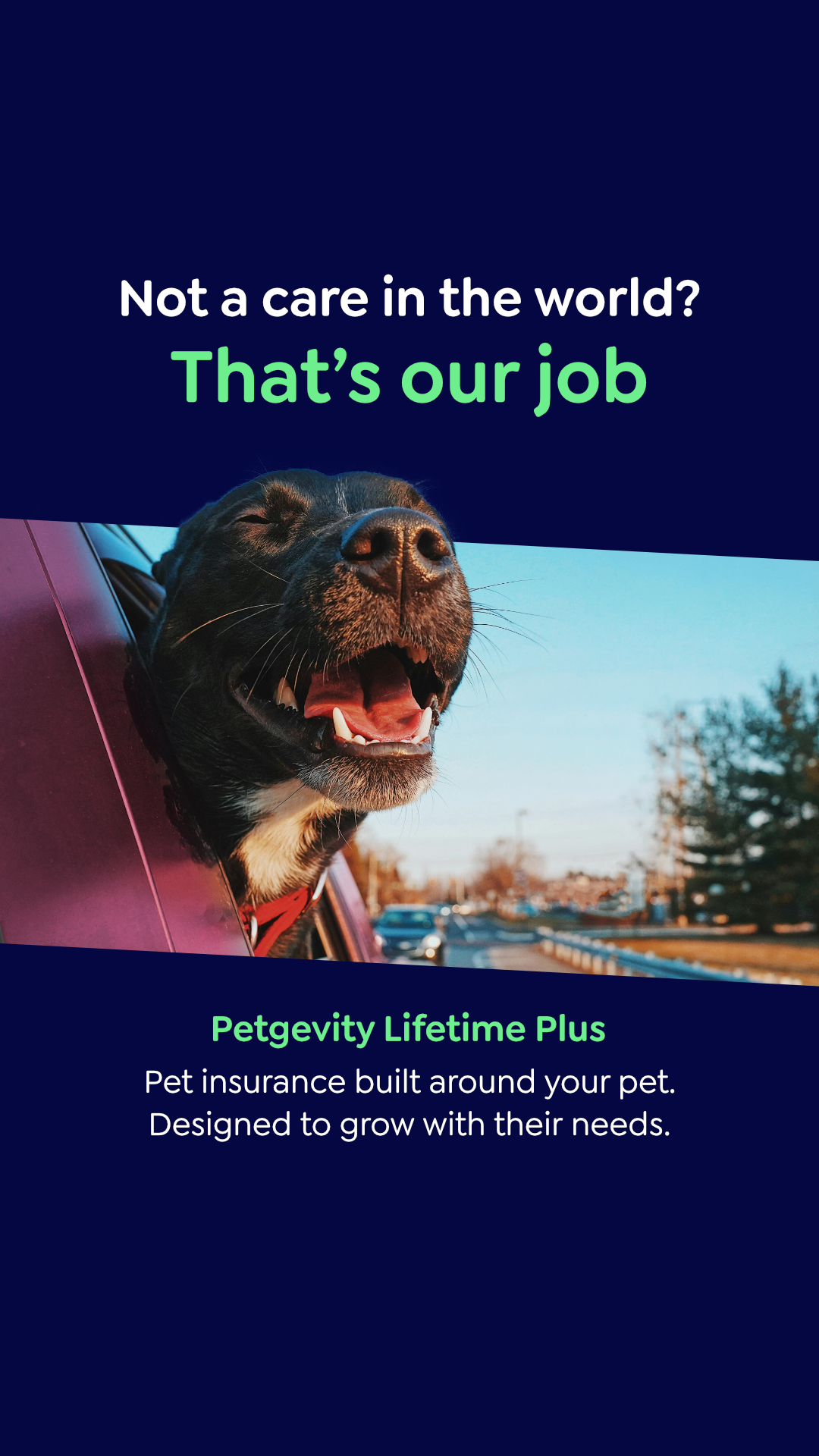 Petgevity UK Facebook ad