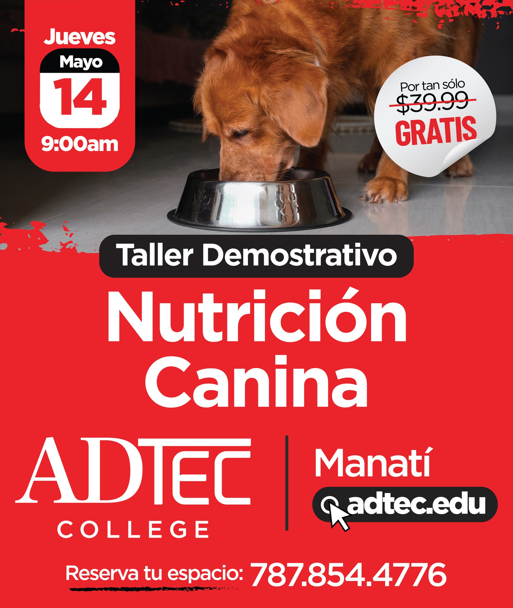 Adtec College Facebook ad