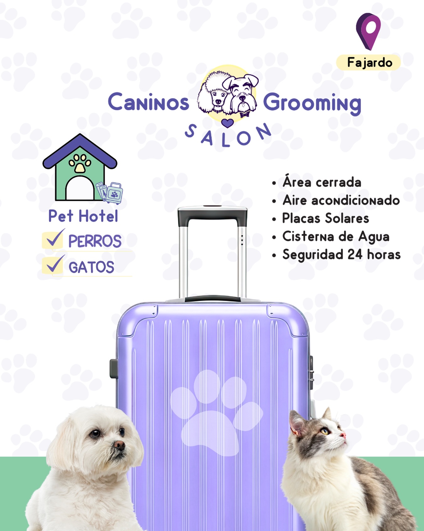 Caninos Grooming Salon Facebook ad