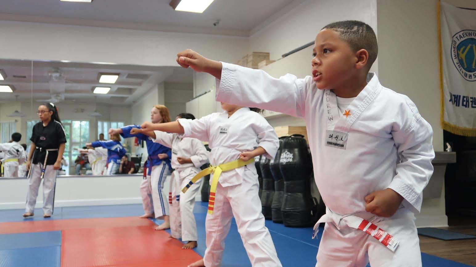 Pro Taekwondo School - Millhopper Facebook ad