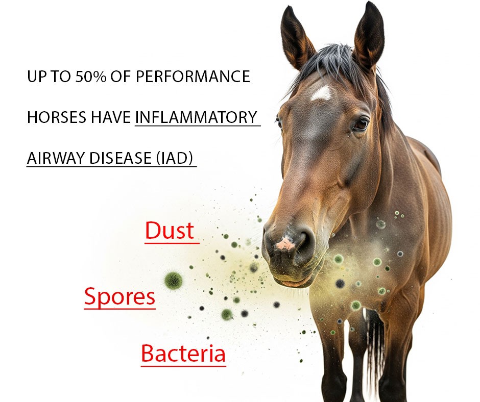 Equine Veterinary Essentials LLC Facebook ad