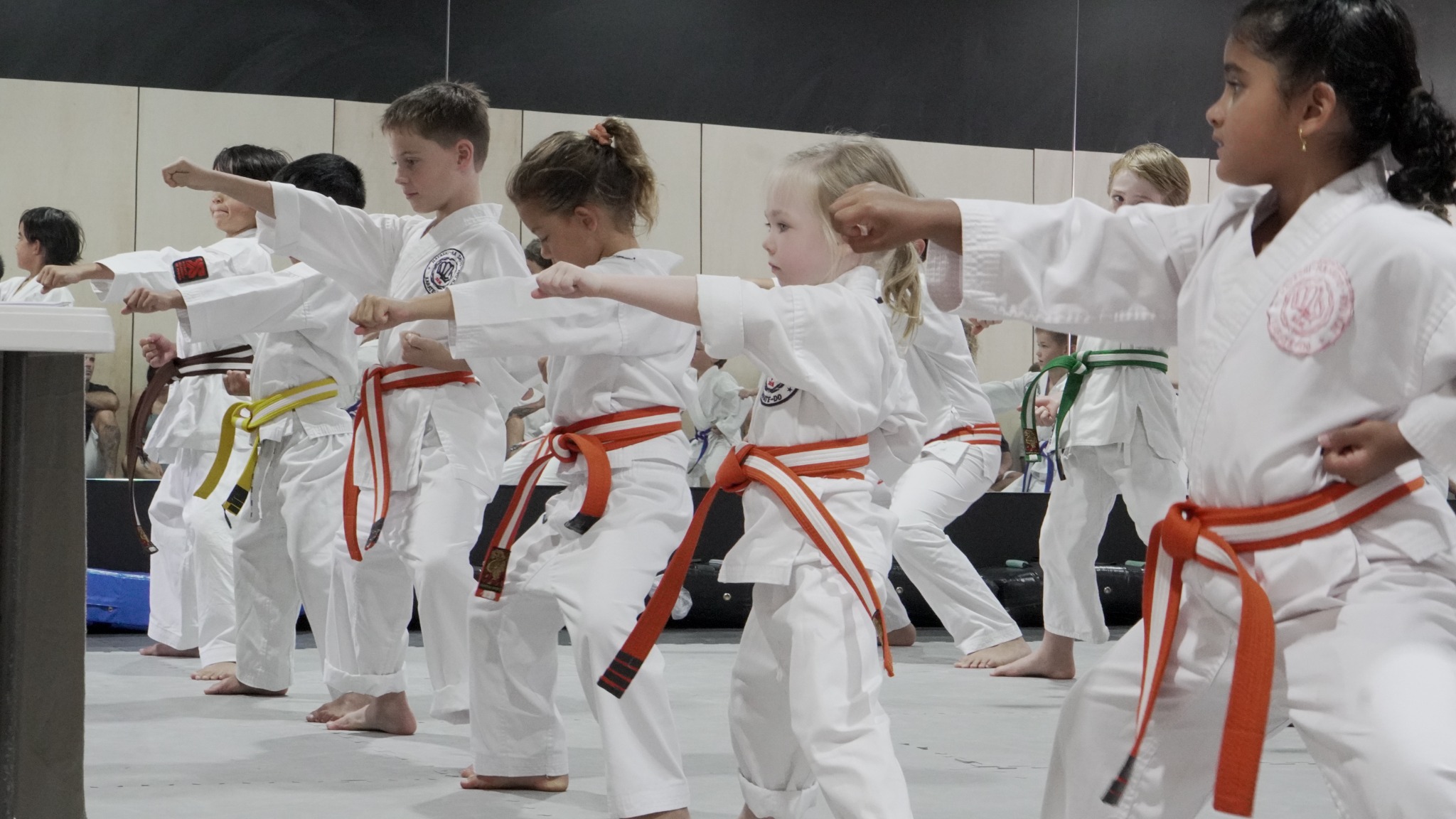 Karate Academy of Power - Hayashiha Queensland Facebook ad