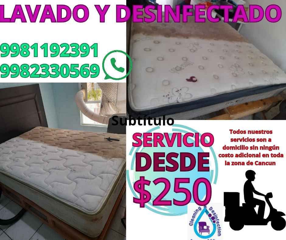 Cleaning and disinfection azpeitia Facebook ad: Lavado y desinfectado de colchones y salas