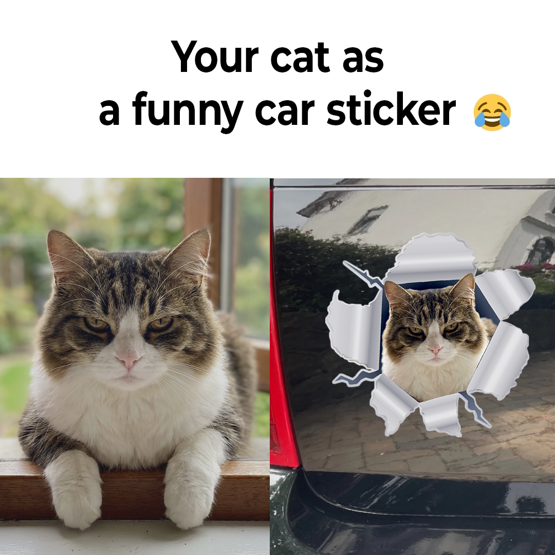 Pet Printed Facebook ad