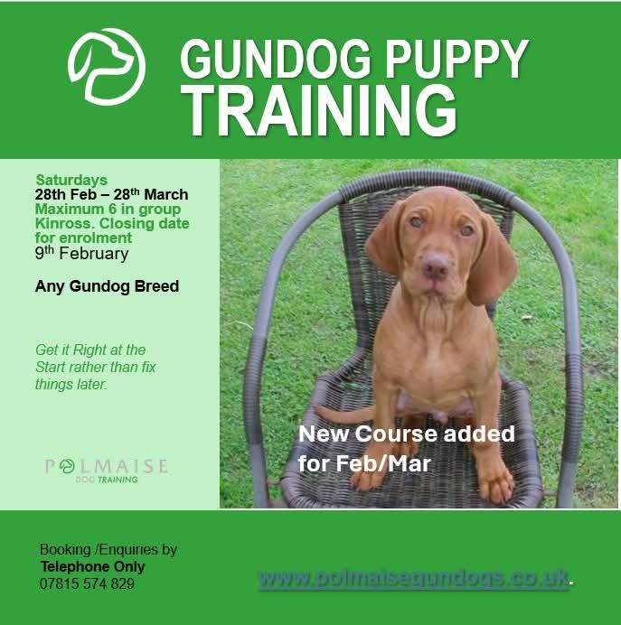 Polmaise Dog Training Facebook ad: New course added.