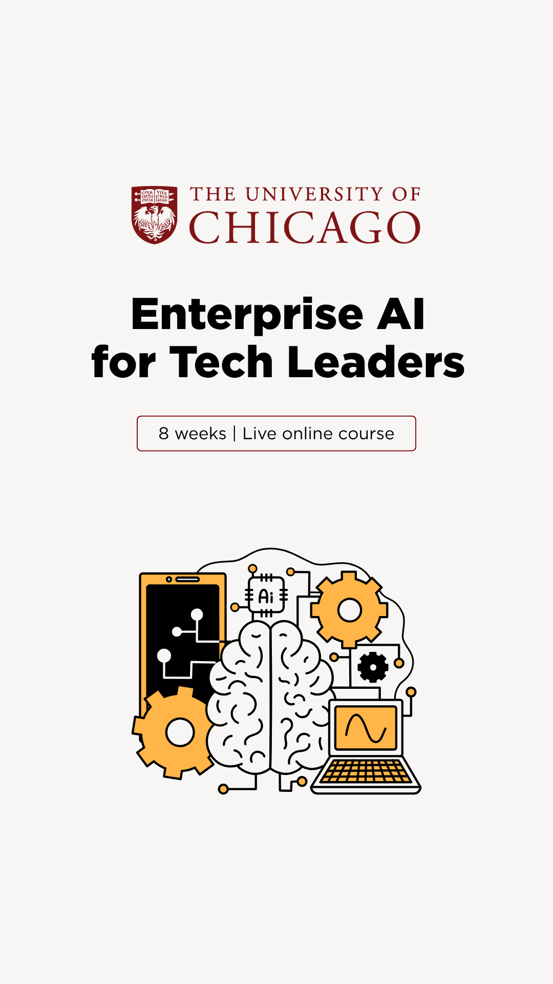 UChicago Professional Facebook ad