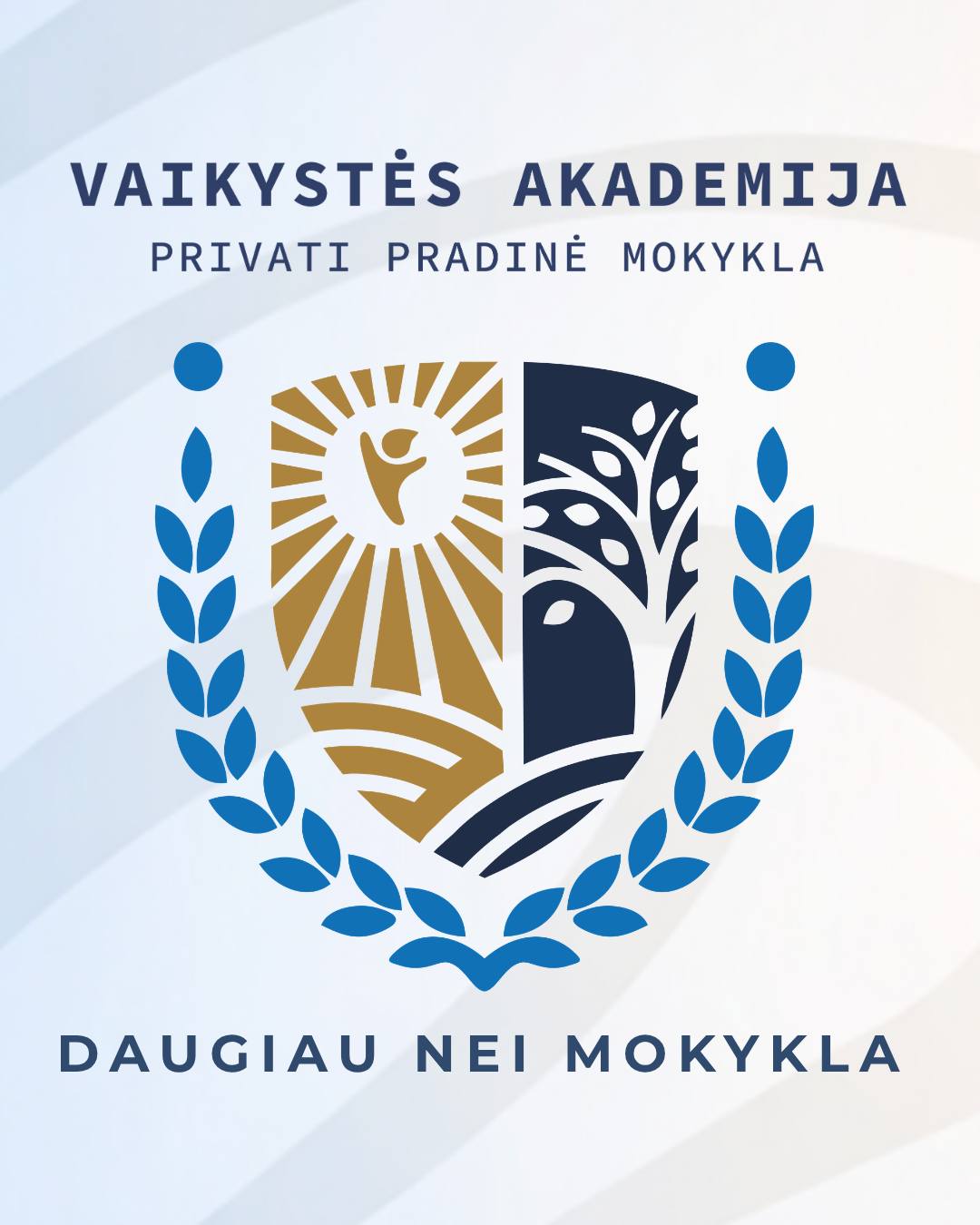 Vaikystės Akademija - privati pradinė mokykla Facebook ad