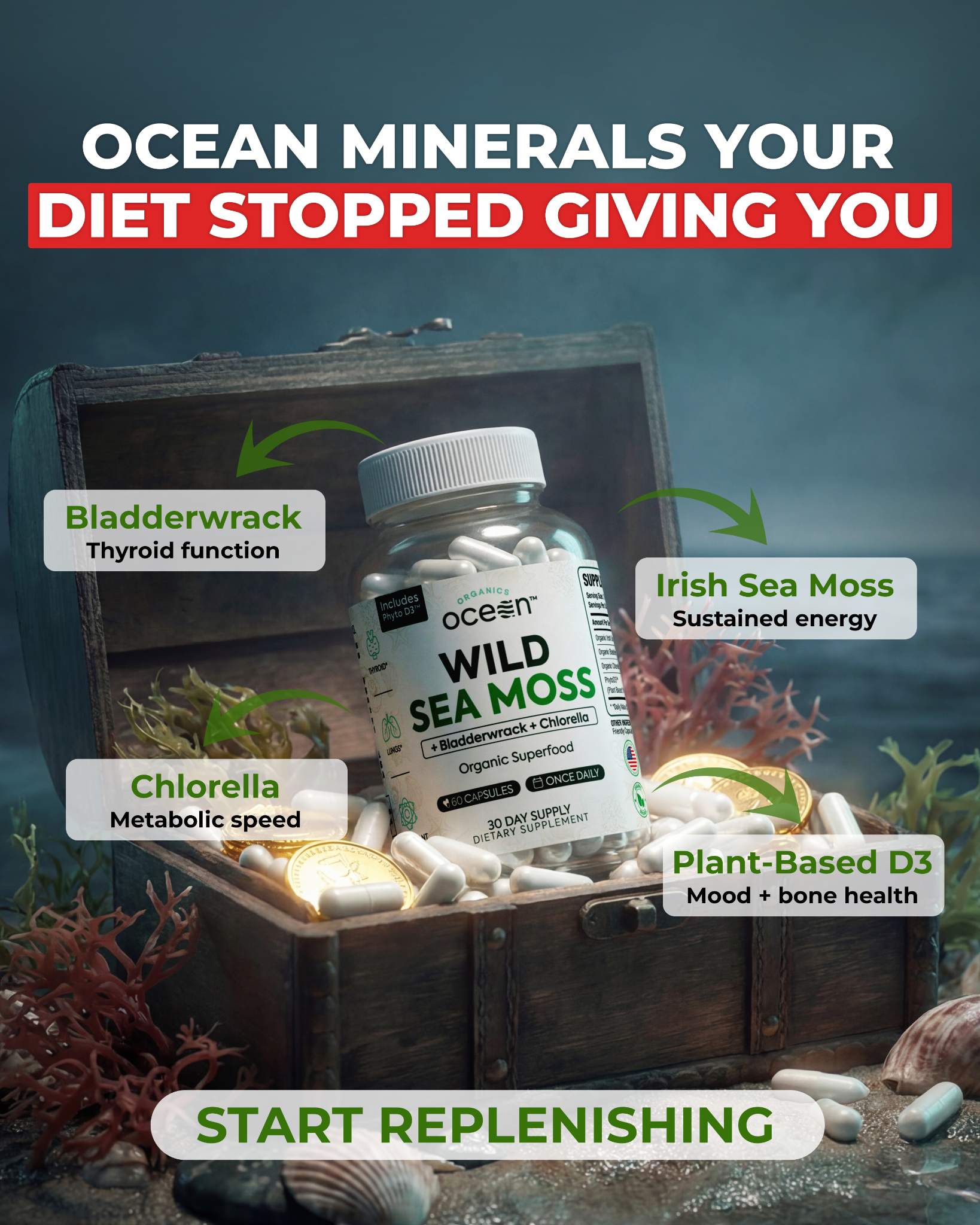 Organics Ocean Facebook ad