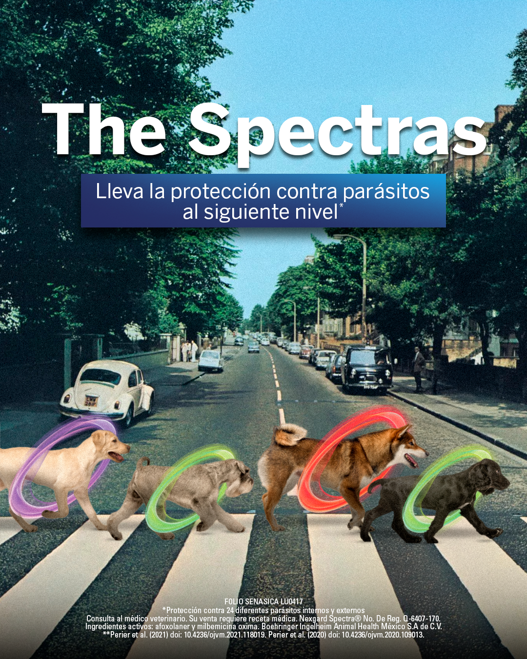 NexGard México Facebook ad