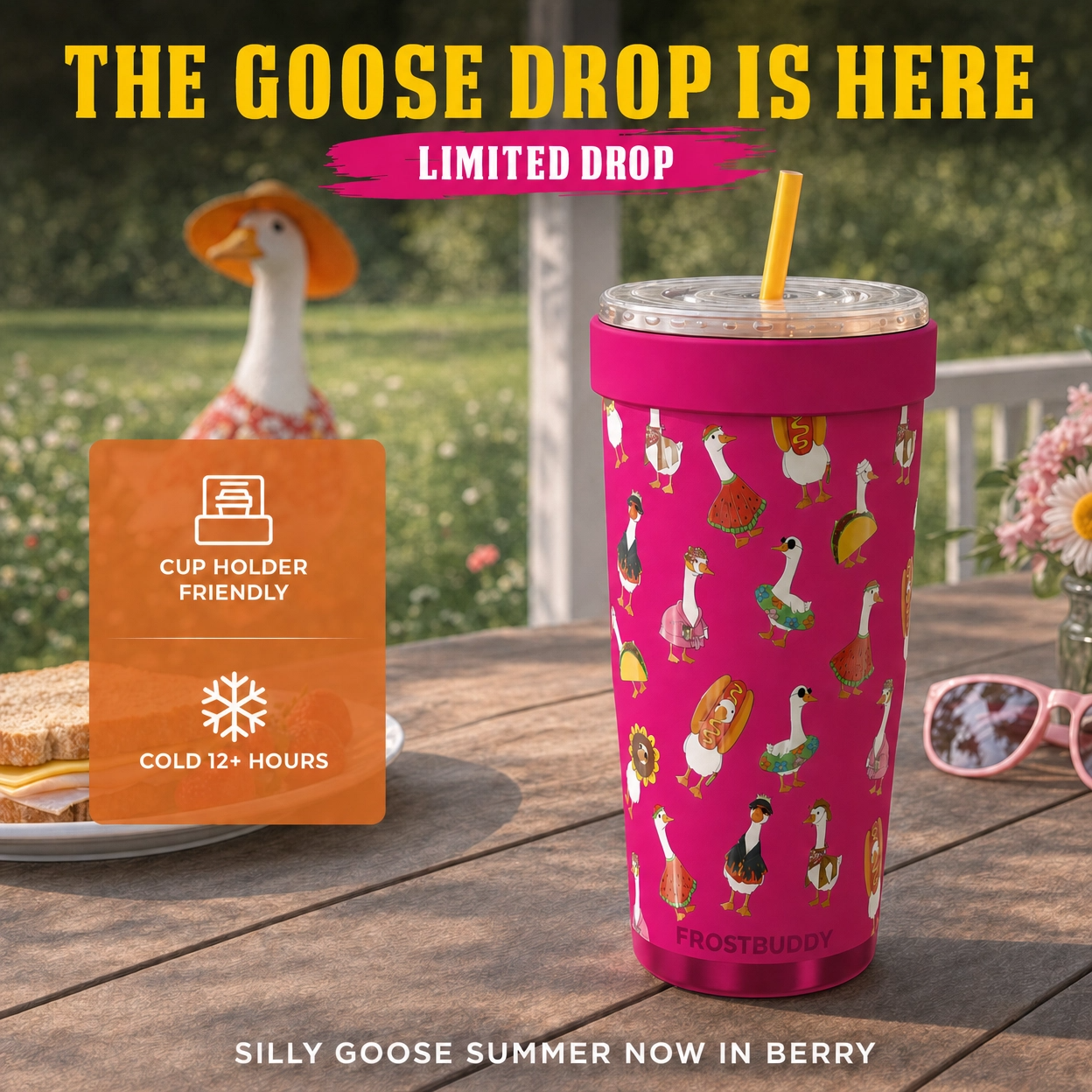 Frost Buddy Facebook ad