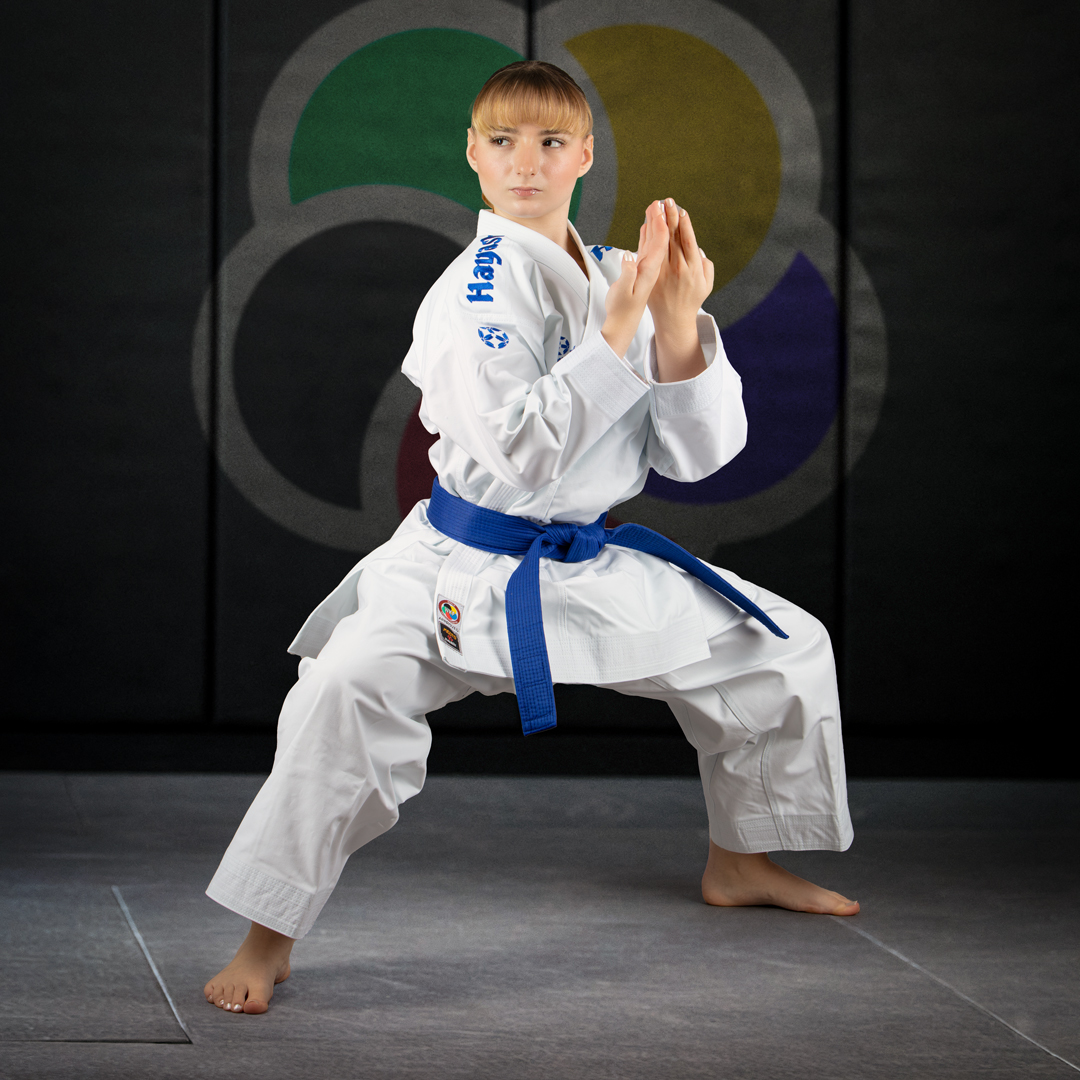 Hayashi Martial Arts Facebook ad