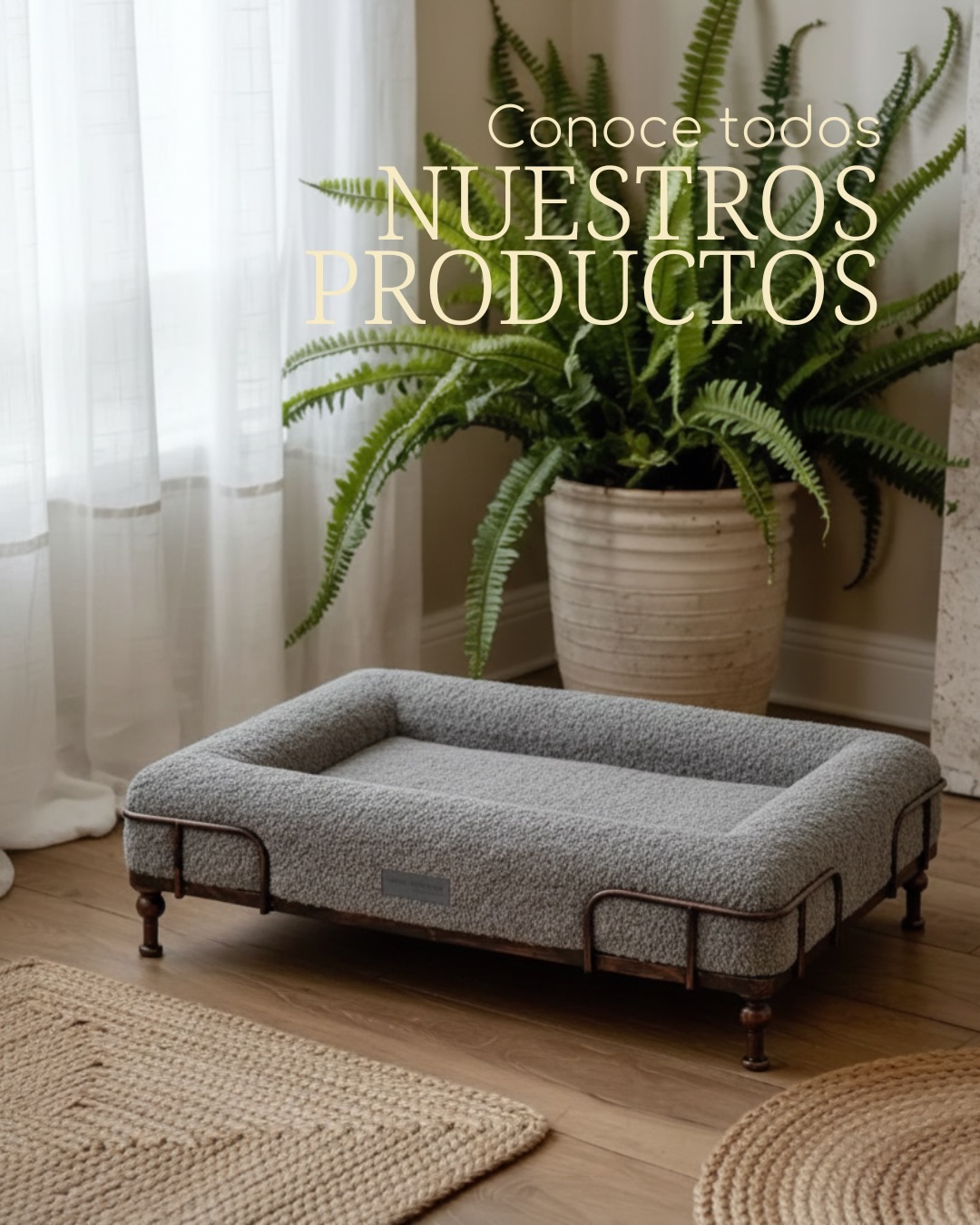 Donna's Pet Boutique Facebook ad: Amas tanto a tu perrito como para comprar…