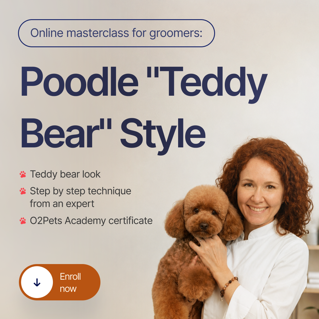 O2Pets Academy Facebook ad: Master the art of precision grooming