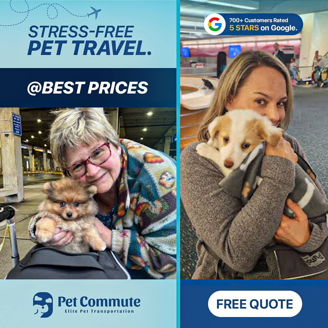 petcommute Facebook ad
