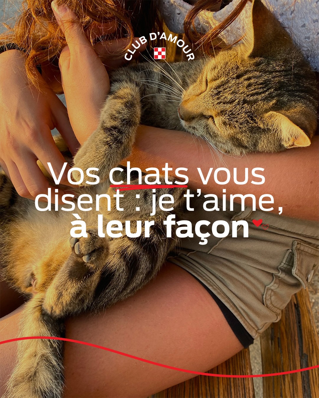 Purina France Facebook ad