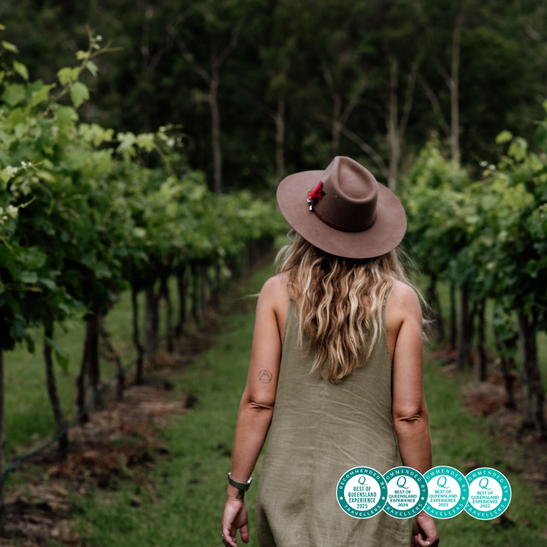Pineapple Tours Facebook ad: Explore the best of Gold Coast & Brisbane!