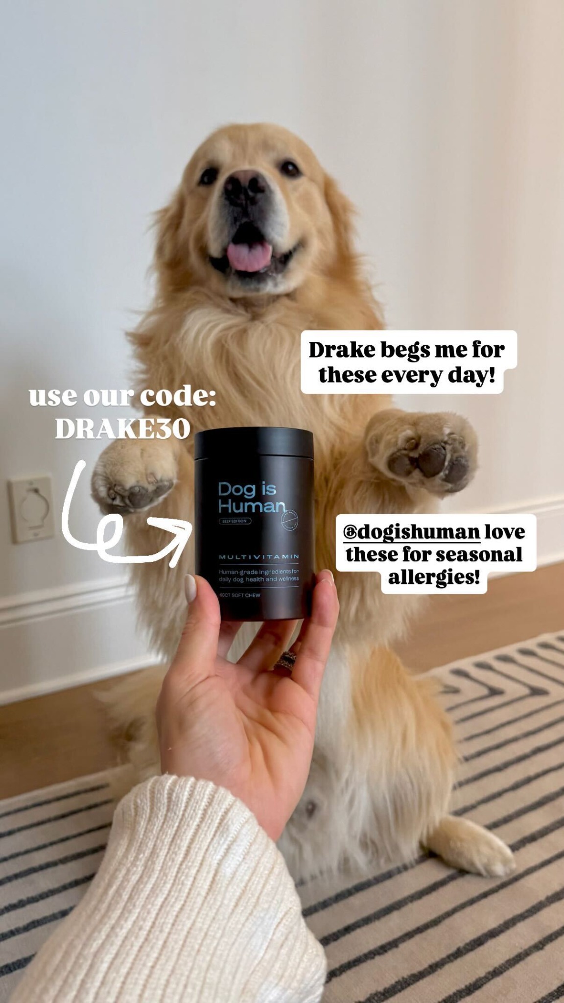 Dog is Human Facebook ad