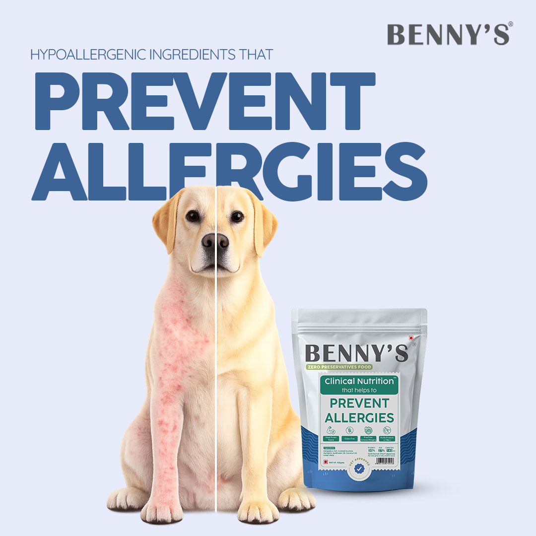 Benny's Bowl Facebook ad