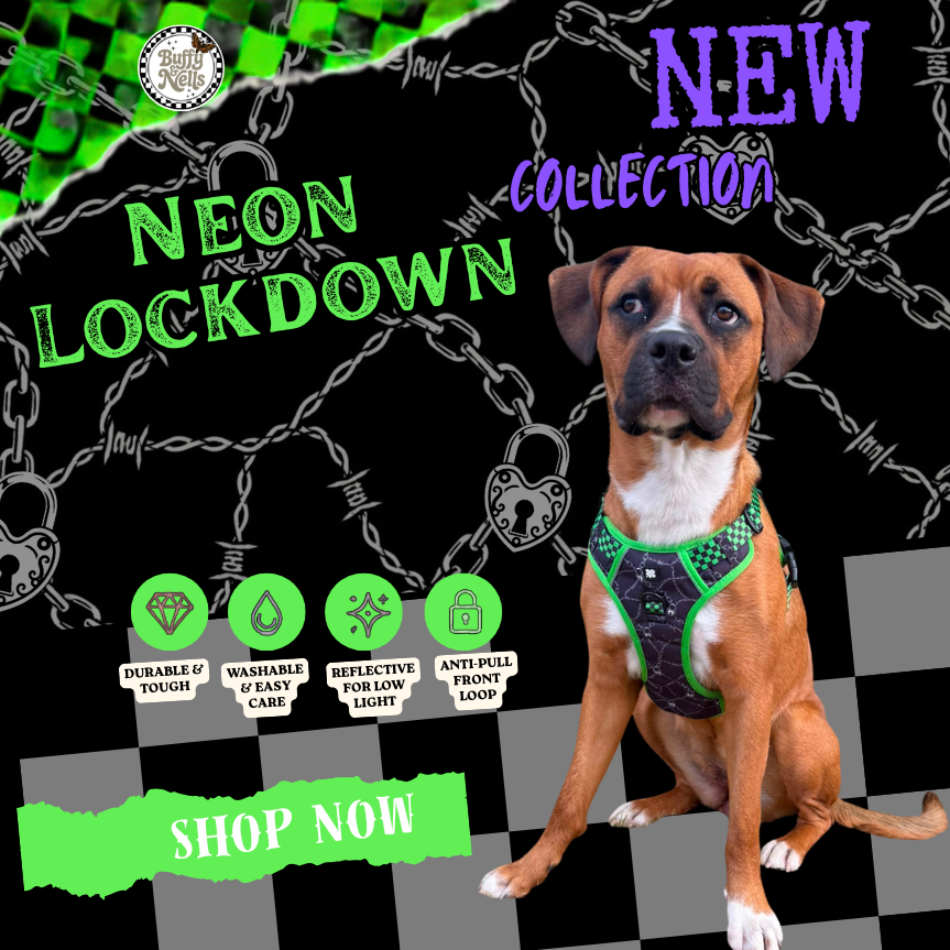 Buffy and Nells Facebook ad: Alt dogwear for dogs with attitude.