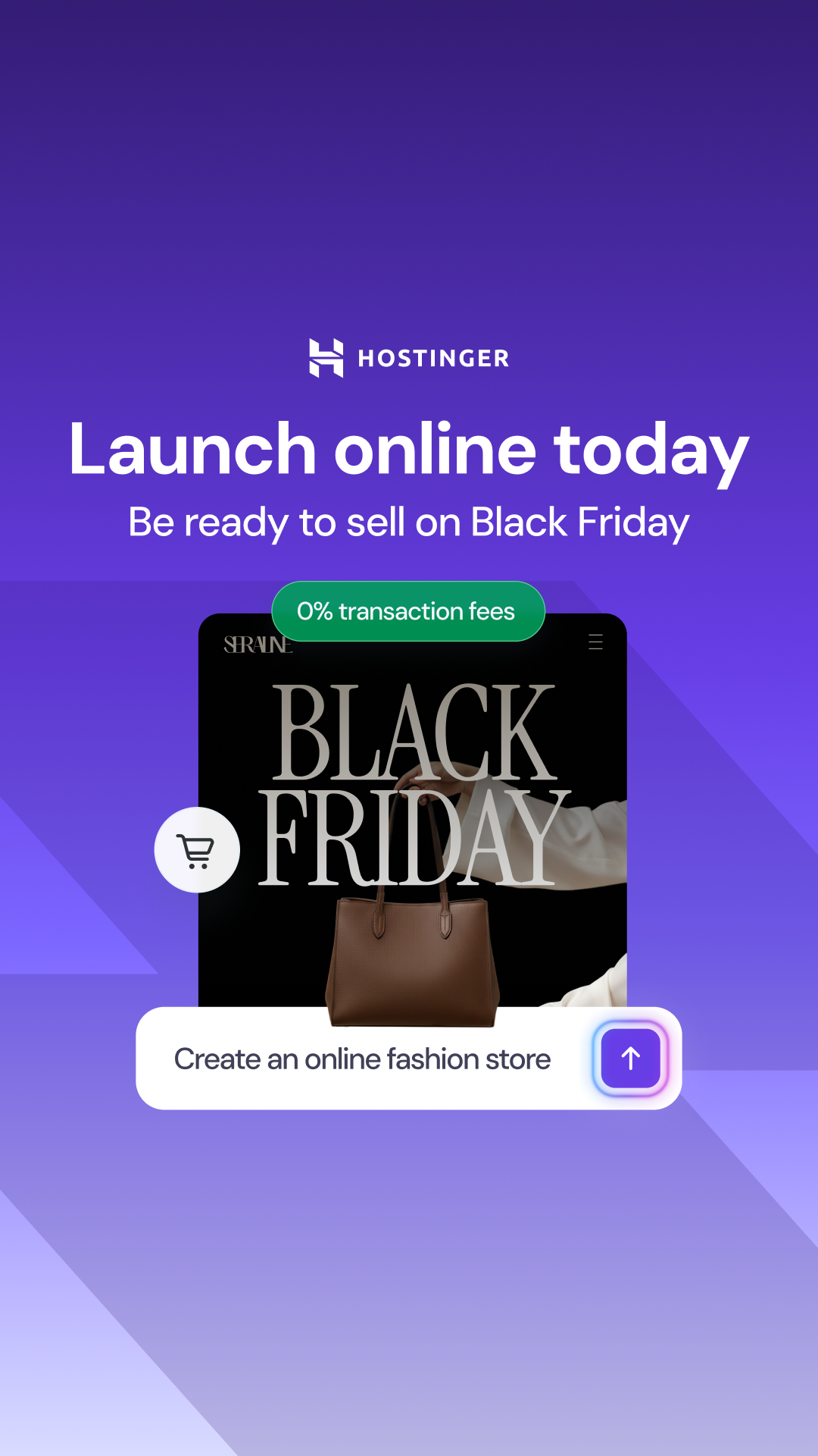 Hostinger Facebook ad: Take your idea online