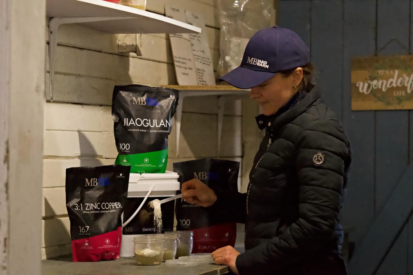 Deep Creek Warmbloods Facebook ad