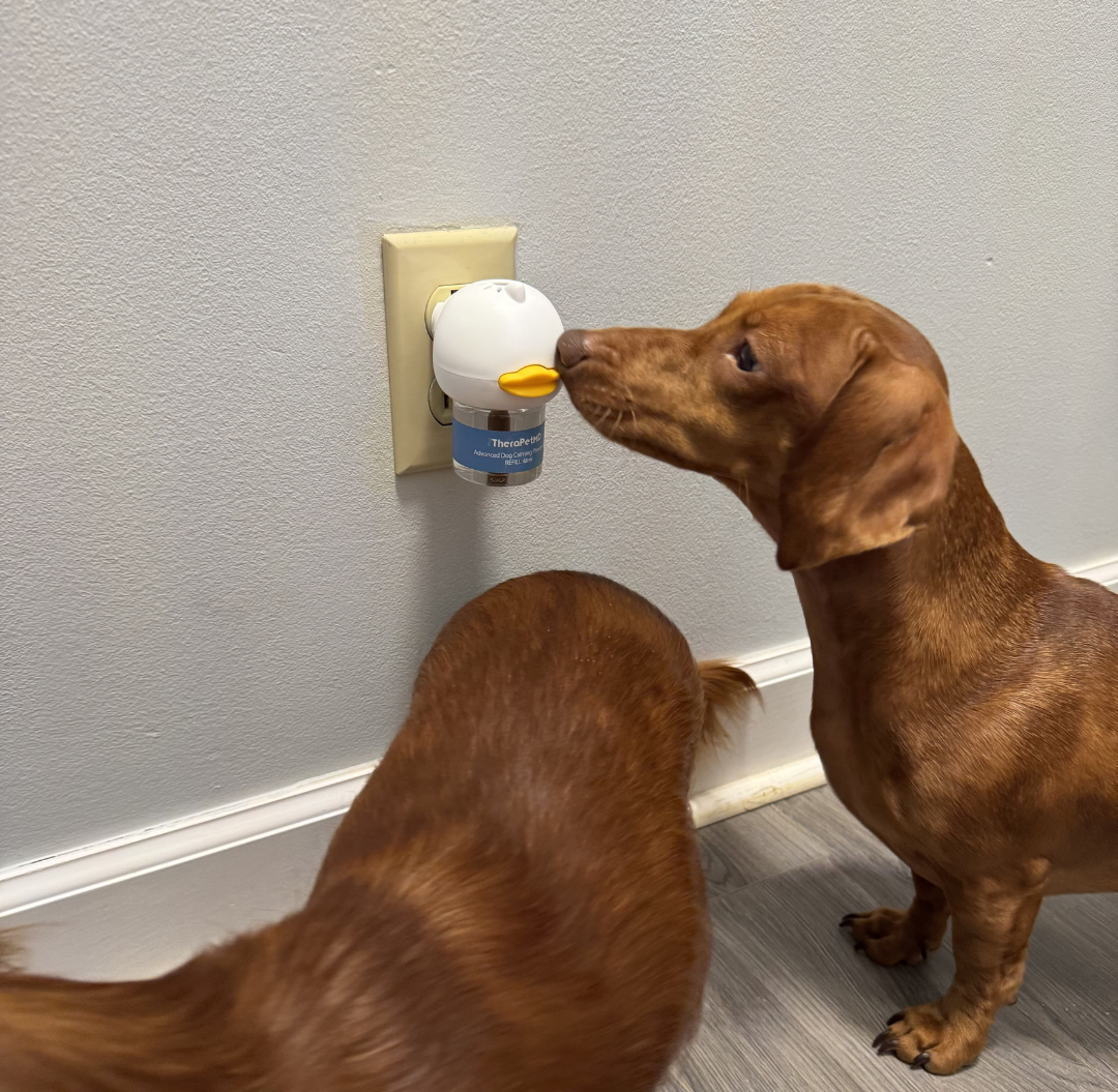 Vet approved products Facebook ad