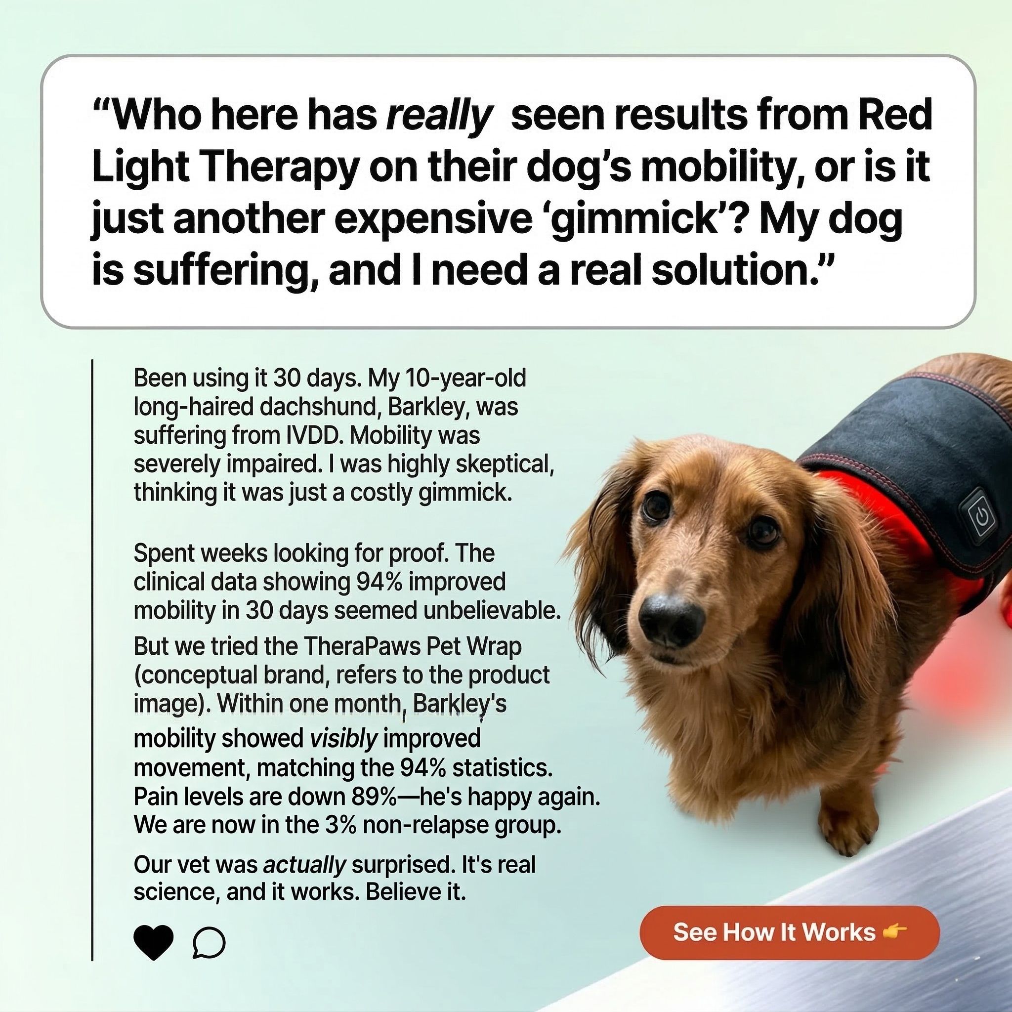 Therapet Co Facebook ad