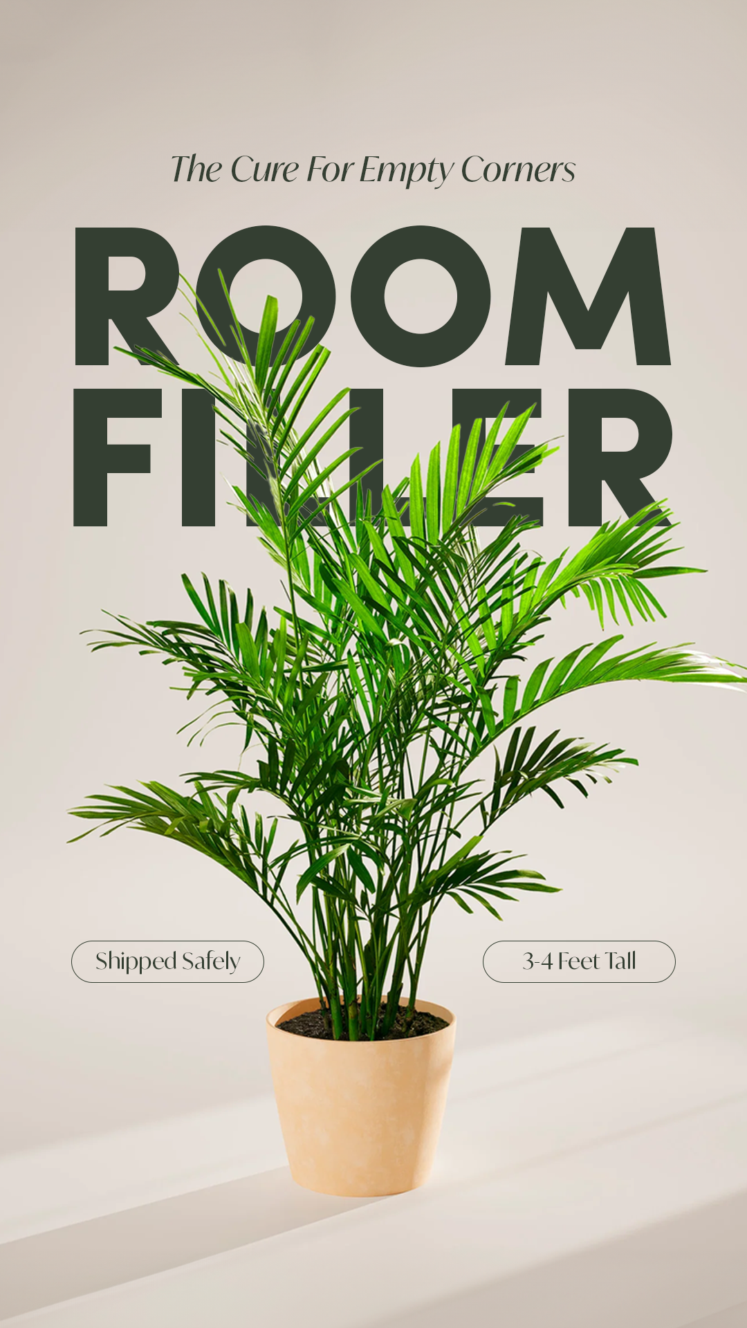 Lively Root Facebook ad