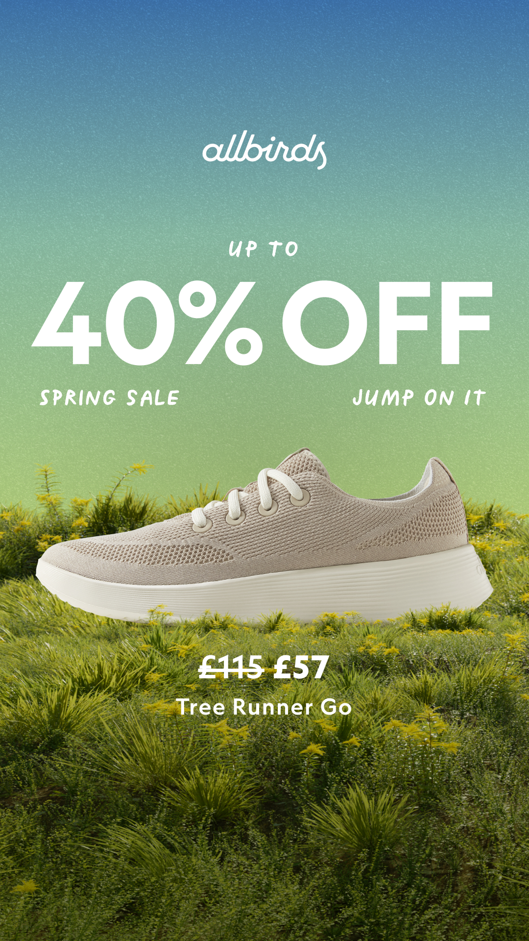 Allbirds Facebook ad