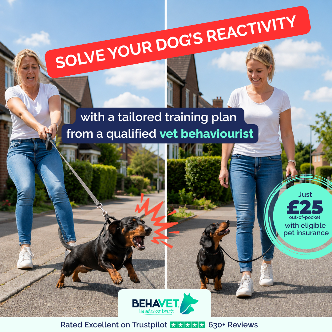 Behavet: The Pet Behaviour Experts Facebook ad