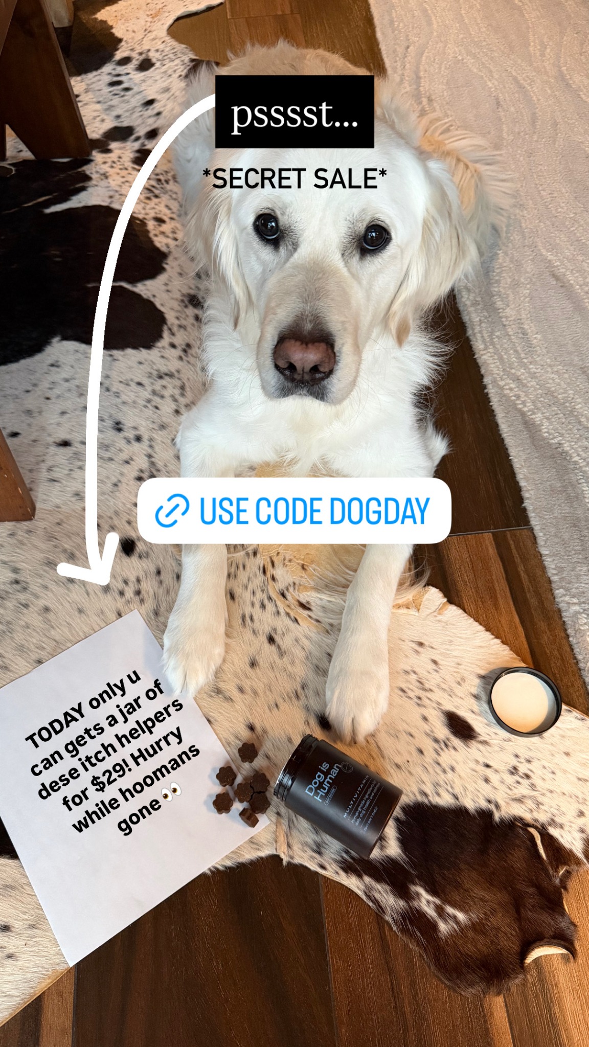 Dog is Human Facebook ad
