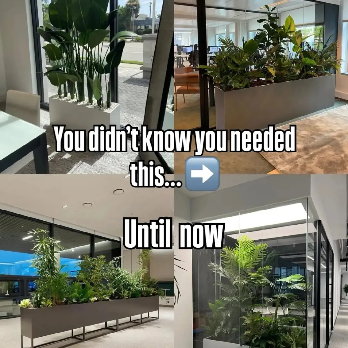 LushGreen Decor Facebook ad: Turn boring spaces into refreshing green escapes!