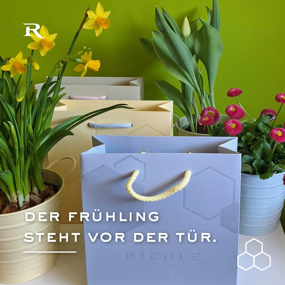 BAGS BY RIEDLE, Papiertragetaschen, Papiertaschen und Papiertüten Facebook ad: Wenn alles wieder heller, leichter und bunter wird…